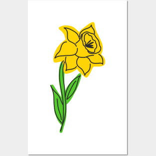 Daffodil Posters and Art